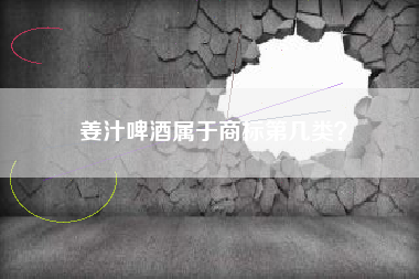 姜汁啤酒属于商标第几类？