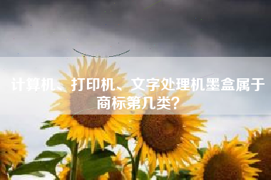 计算机、打印机、文字处理机墨盒属于商标第几类？