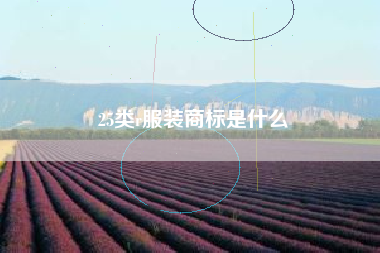 25类r服装商标是什么