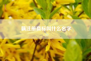 藕注册商标叫什么名字