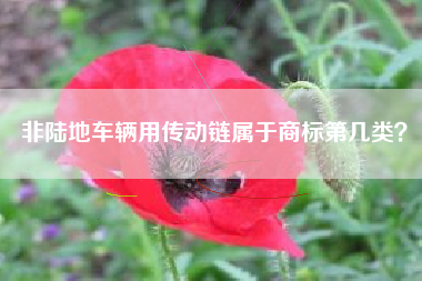 非陆地车辆用传动链属于商标第几类？