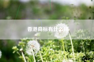 香港商标有什么用
