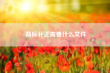 商标补正需要什么文件
