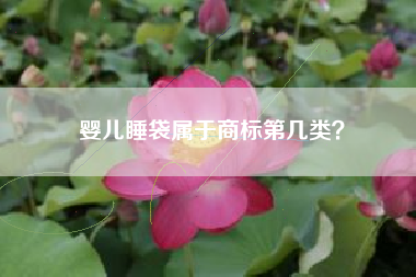 婴儿睡袋属于商标第几类？