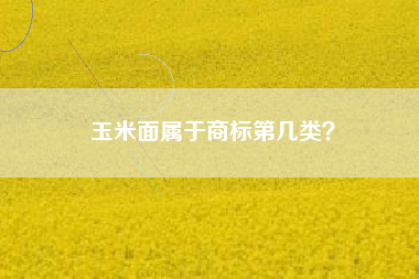 玉米面属于商标第几类？