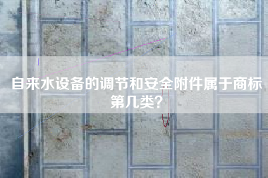 自来水设备的调节和安全附件属于商标第几类？