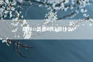 商标43类都可以做什么