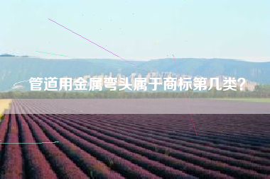 管道用金属弯头属于商标第几类？