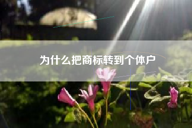 为什么把商标转到个体户