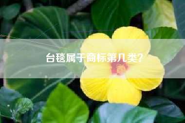 台毯属于商标第几类？