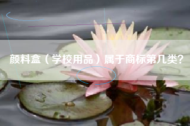 颜料盒（学校用品）属于商标第几类？