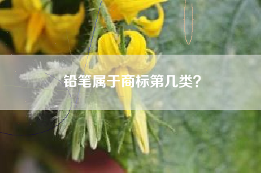铅笔属于商标第几类？