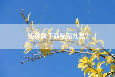 短袜属于商标第几类？