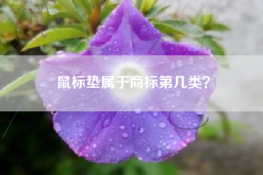 鼠标垫属于商标第几类？