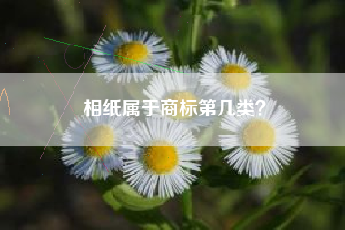相纸属于商标第几类？