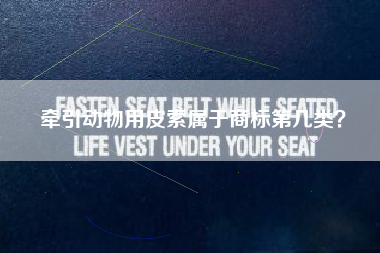 牵引动物用皮索属于商标第几类？