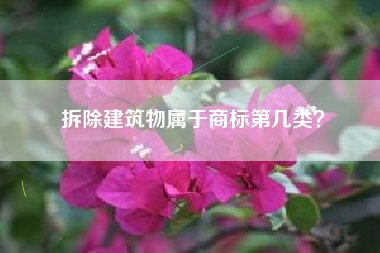 拆除建筑物属于商标第几类？