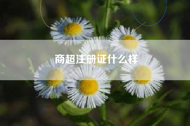 商超注册证什么样