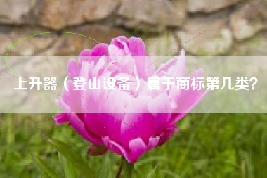 上升器（登山设备）属于商标第几类？