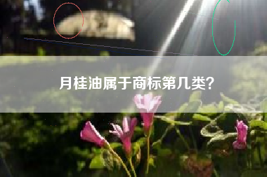 月桂油属于商标第几类？
