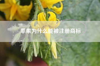苹果为什么能被注册商标