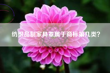 纺织品制家具罩属于商标第几类？
