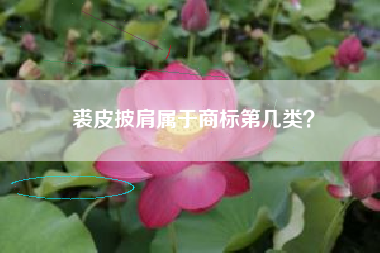 裘皮披肩属于商标第几类？