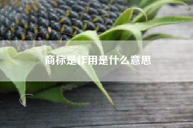 商标是作用是什么意思