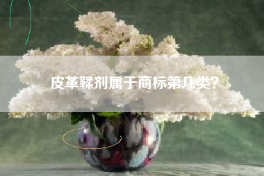 皮革鞣剂属于商标第几类？
