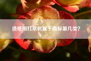 造纸用打浆机属于商标第几类？