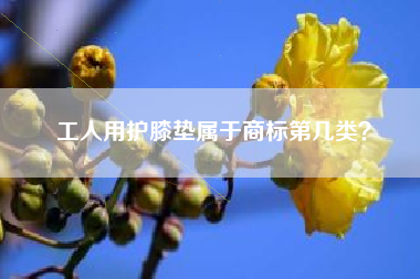 工人用护膝垫属于商标第几类？