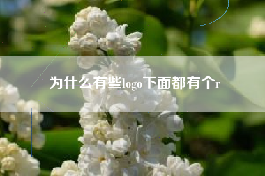 为什么有些logo下面都有个r