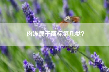 肉冻属于商标第几类？