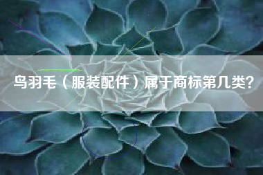 鸟羽毛（服装配件）属于商标第几类？