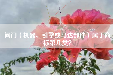 阀门（机器、引擎或马达部件）属于商标第几类？