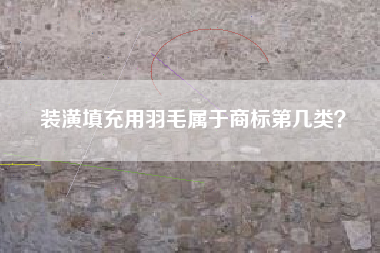 装潢填充用羽毛属于商标第几类？