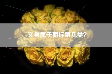 文身属于商标第几类？