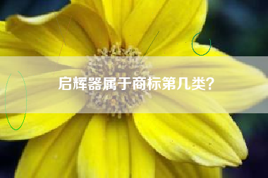 启辉器属于商标第几类？