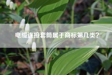 电缆连接套筒属于商标第几类？