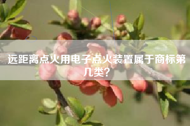 远距离点火用电子点火装置属于商标第几类？