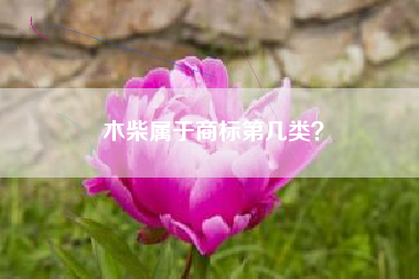 木柴属于商标第几类？