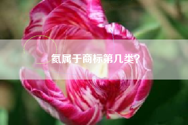 氦属于商标第几类？