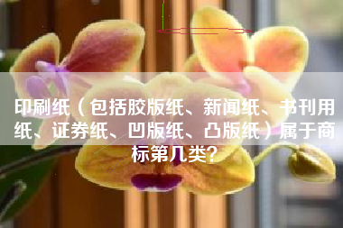 印刷纸（包括胶版纸、新闻纸、书刊用纸、证券纸、凹版纸、凸版纸）属于商标第几类？