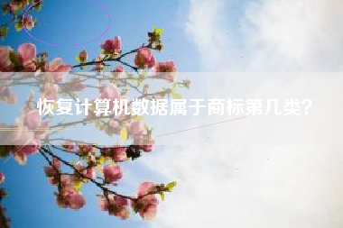 恢复计算机数据属于商标第几类？