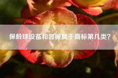 保龄球设备和器械属于商标第几类？