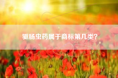 驱肠虫药属于商标第几类？