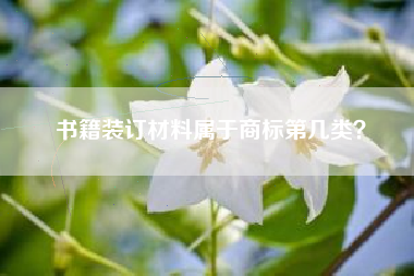 书籍装订材料属于商标第几类？