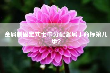 金属制固定式毛巾分配器属于商标第几类？