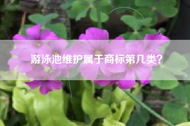 游泳池维护属于商标第几类？