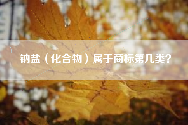 钠盐（化合物）属于商标第几类？